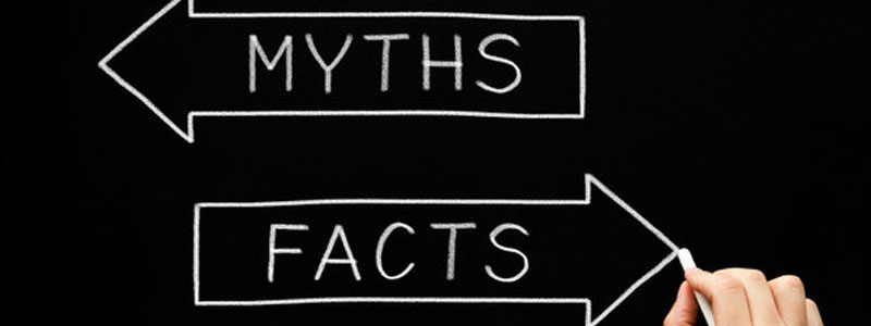 myth v reality image