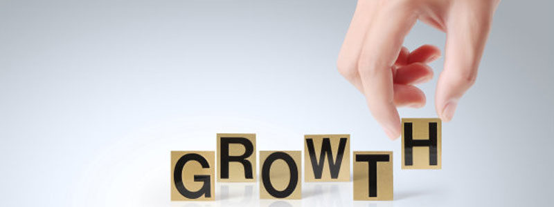 Biz Growth: Solo to micro without headaches