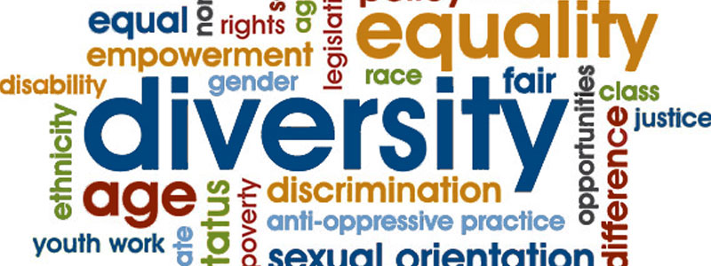 diversity and inclusion